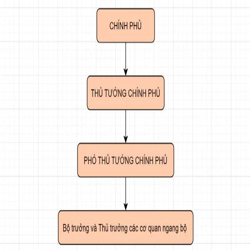 Chính phủ là gì? Vai trò của Chính phủ trong bộ máy nhà nước Việt Nam