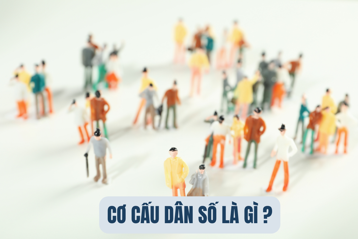 Cơ cấu dân số là gì? Phân loại cơ cấu dân số