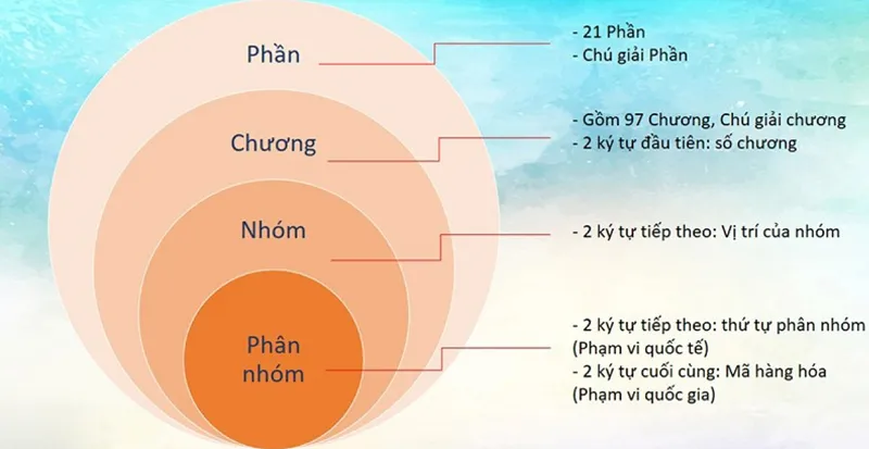 Mã HS là gì? Cách tra cứu HS Code [mới nhất 2024]