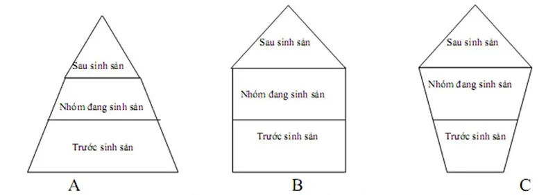 Biota là gì? Đặc điểm cơ bản của quần thể sinh học